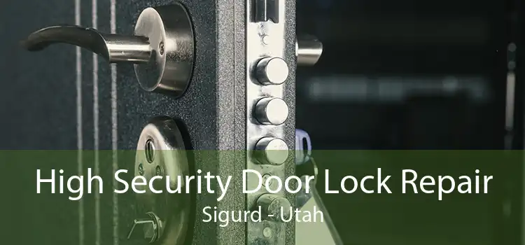 High Security Door Lock Repair Sigurd - Utah