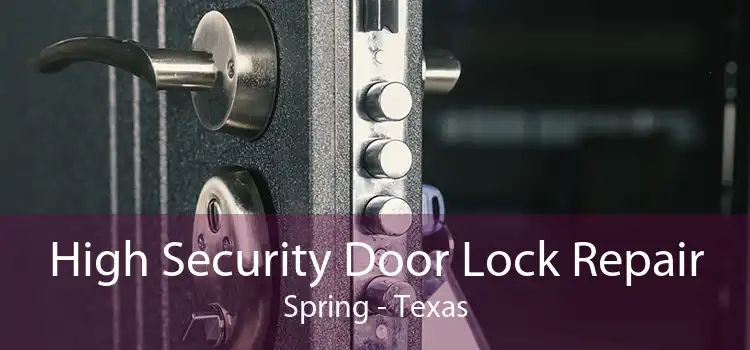 High Security Door Lock Repair Spring - Texas