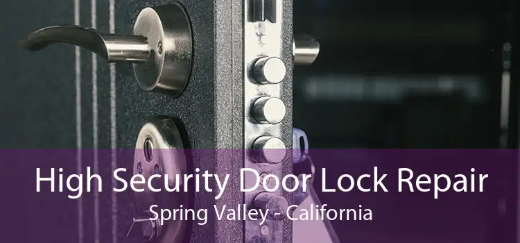 High Security Door Lock Repair Spring Valley - California