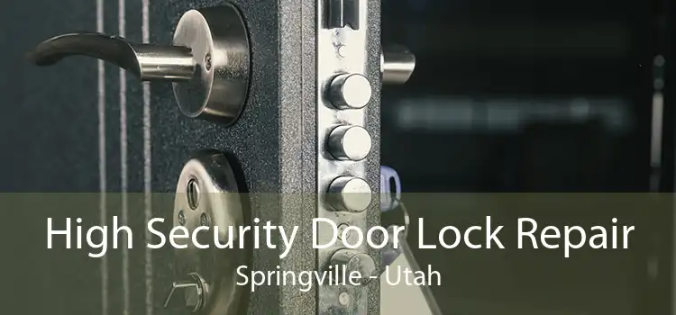 High Security Door Lock Repair Springville - Utah