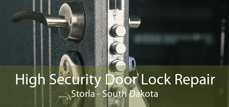 High Security Door Lock Repair Storla - South Dakota