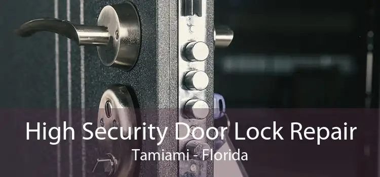 High Security Door Lock Repair Tamiami - Florida