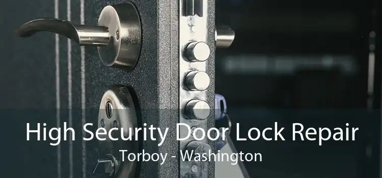 High Security Door Lock Repair Torboy - Washington