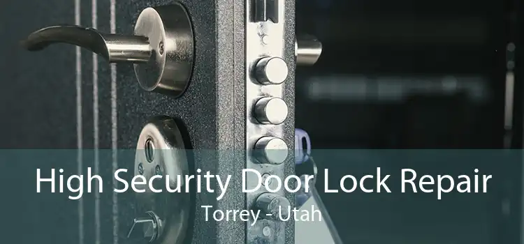 High Security Door Lock Repair Torrey - Utah