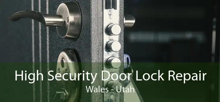 High Security Door Lock Repair Wales - Utah