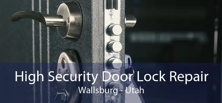 High Security Door Lock Repair Wallsburg - Utah