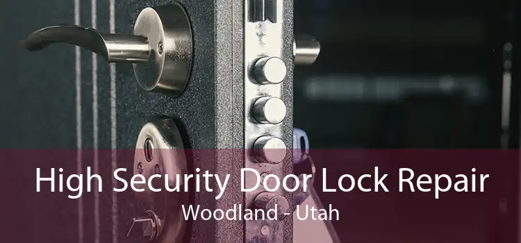 High Security Door Lock Repair Woodland - Utah