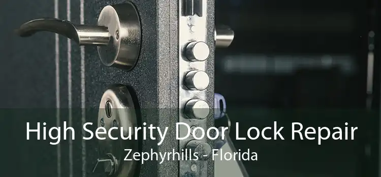 High Security Door Lock Repair Zephyrhills - Florida
