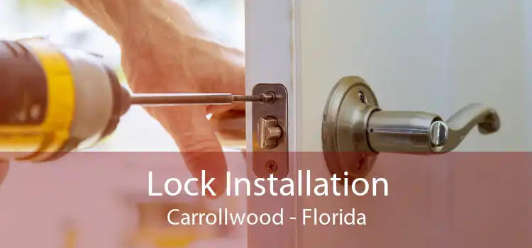 Lock Installation Carrollwood - Florida