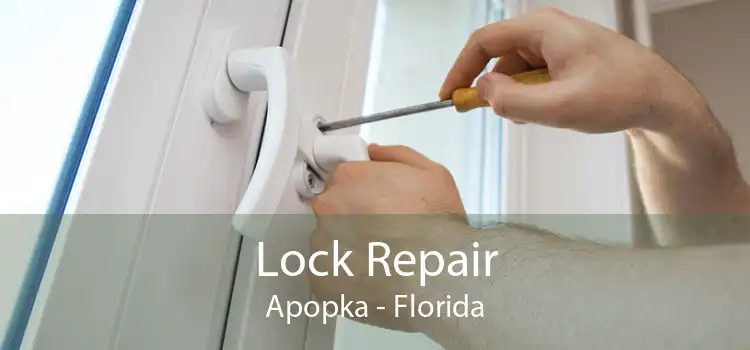 Lock Repair Apopka - Florida