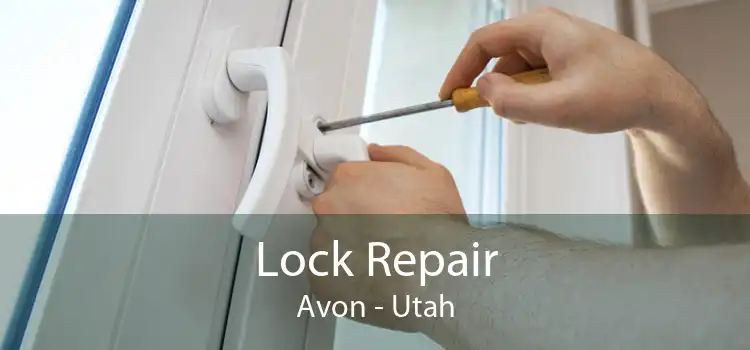 Lock Repair Avon - Utah
