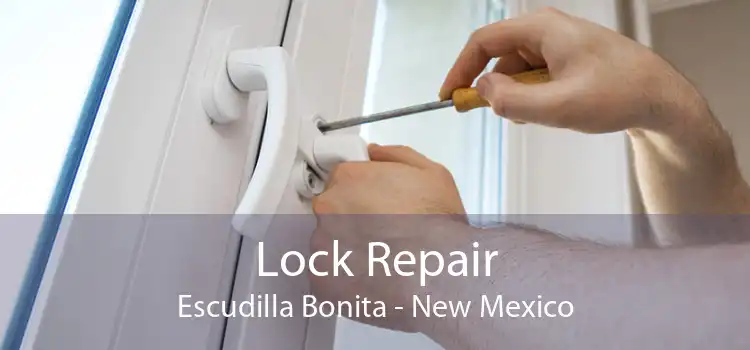 Lock Repair Escudilla Bonita - New Mexico