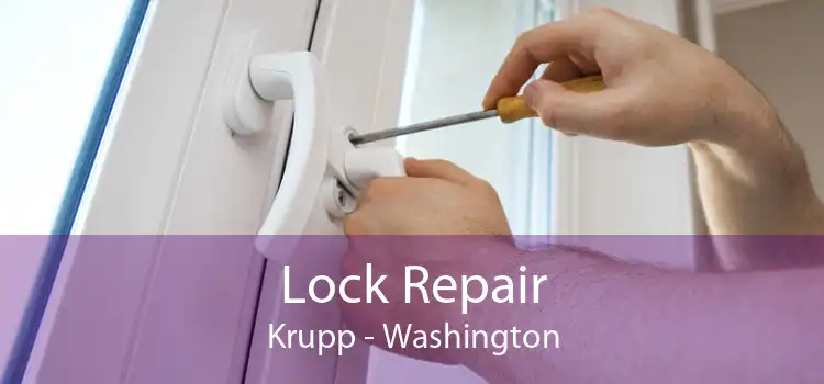 Lock Repair Krupp - Washington