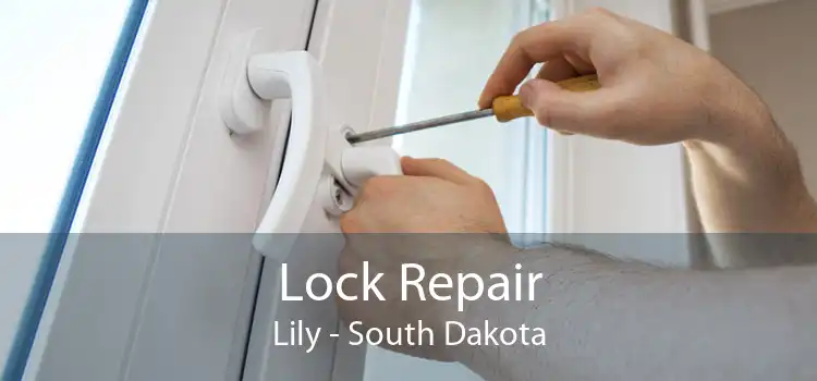 Lock Repair Lily - South Dakota