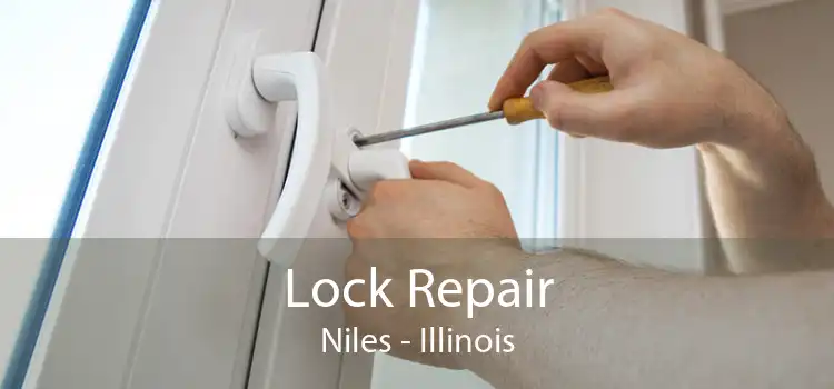 Lock Repair Niles - Illinois