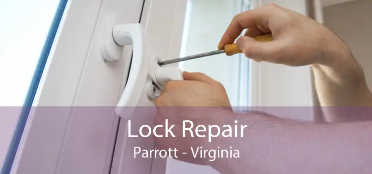 Lock Repair Parrott - Virginia