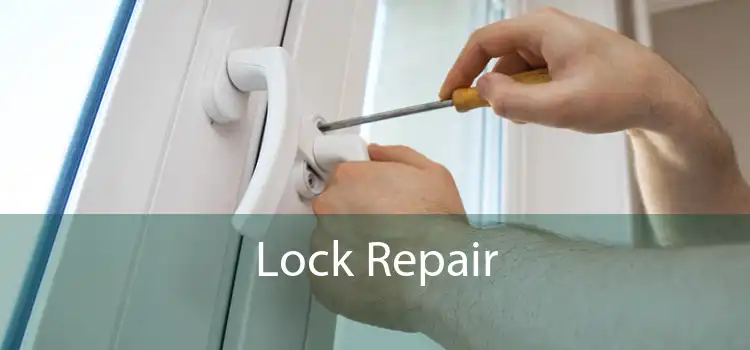 Lock Repair 