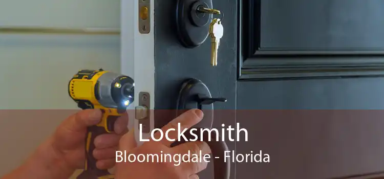 Locksmith Bloomingdale - Florida