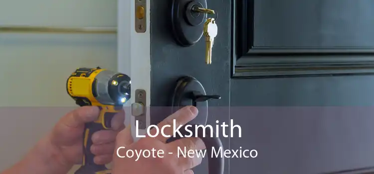 Locksmith Coyote - New Mexico
