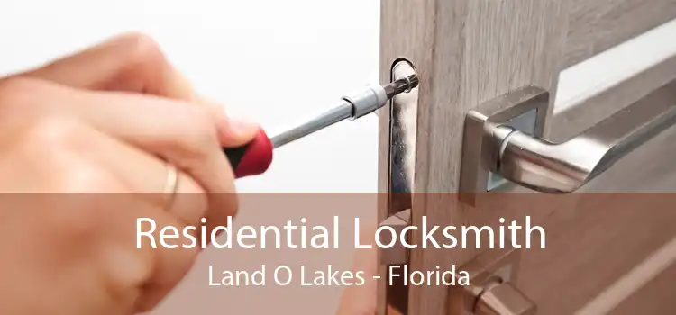 Residential Locksmith Land O Lakes - Florida
